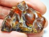AMBER from Albian of Provence – FRANCE