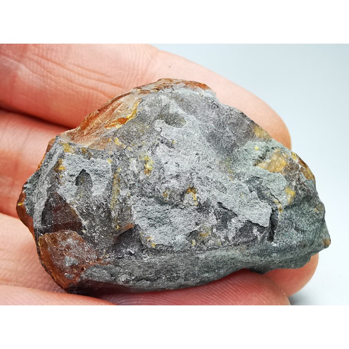 AMBER from Albian of Provence – FRANCE
