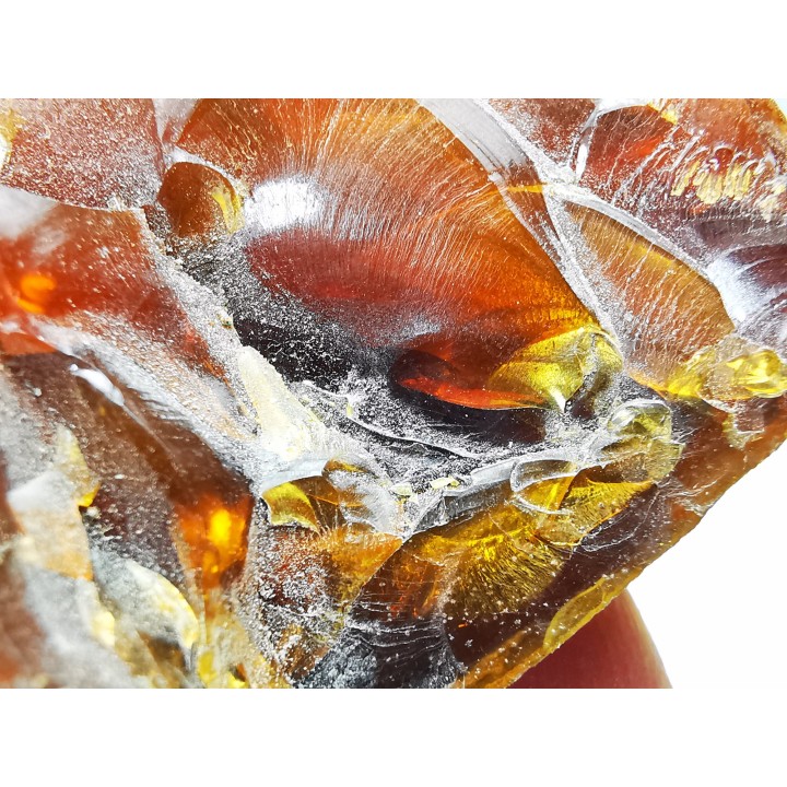 AMBER from Albian of Provence – FRANCE