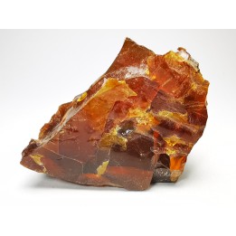 AMBER from Albian of Provence – FRANCE