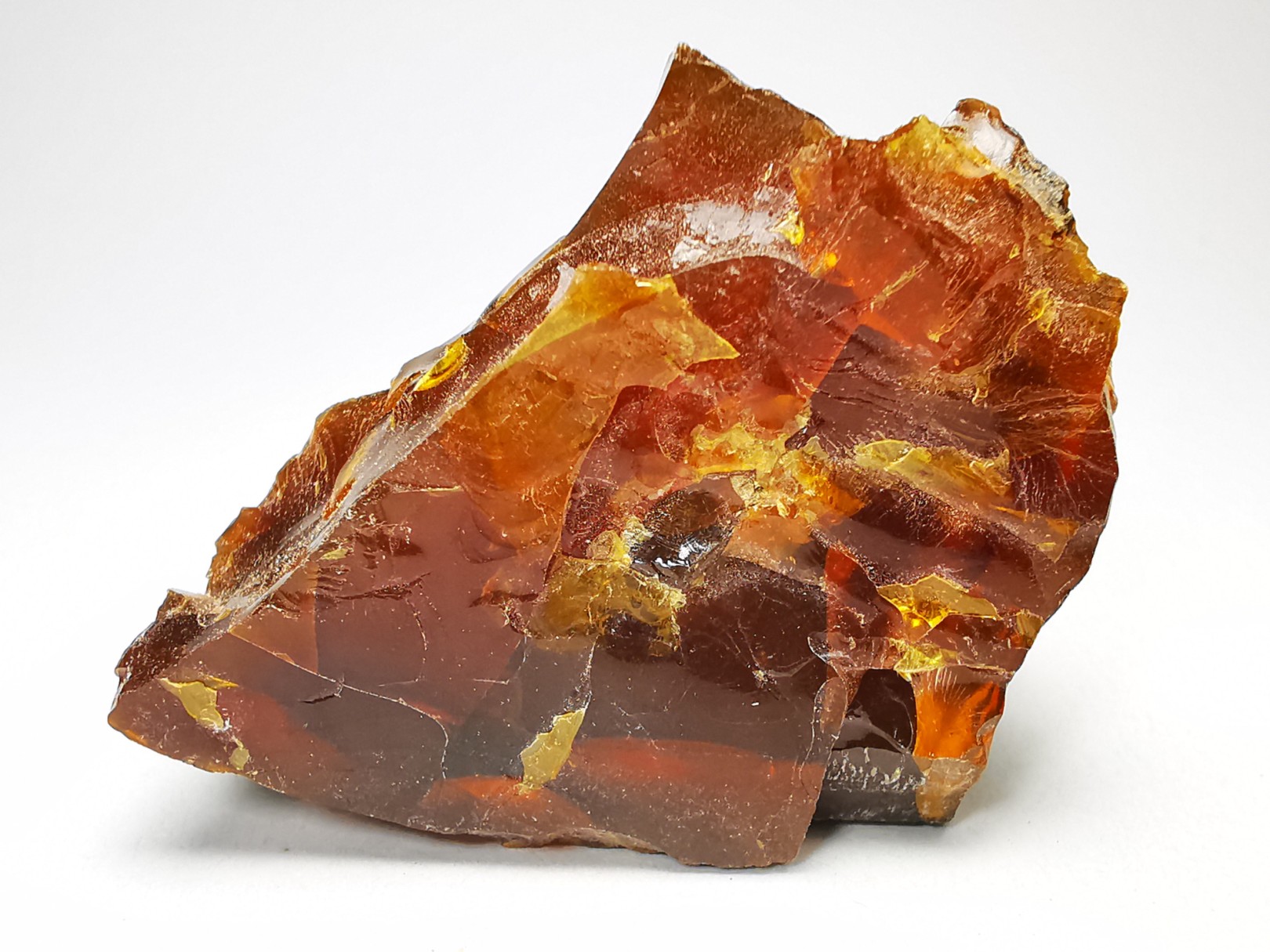 AMBER from Albian of Provence – FRANCE