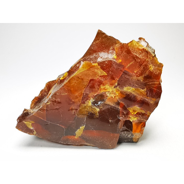 AMBER from Albian of Provence – FRANCE