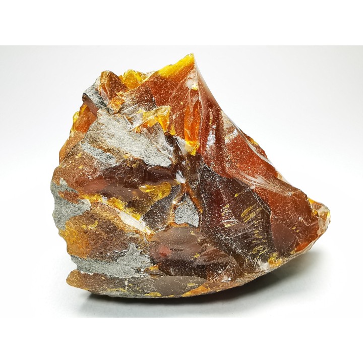 AMBER from Albian of Provence – FRANCE