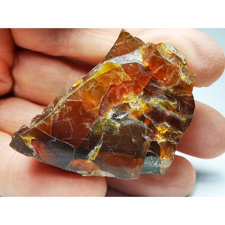 AMBRE de l'Albien de Provence - FRANCE