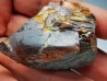 AMBER from Albian of Provence – FRANCE