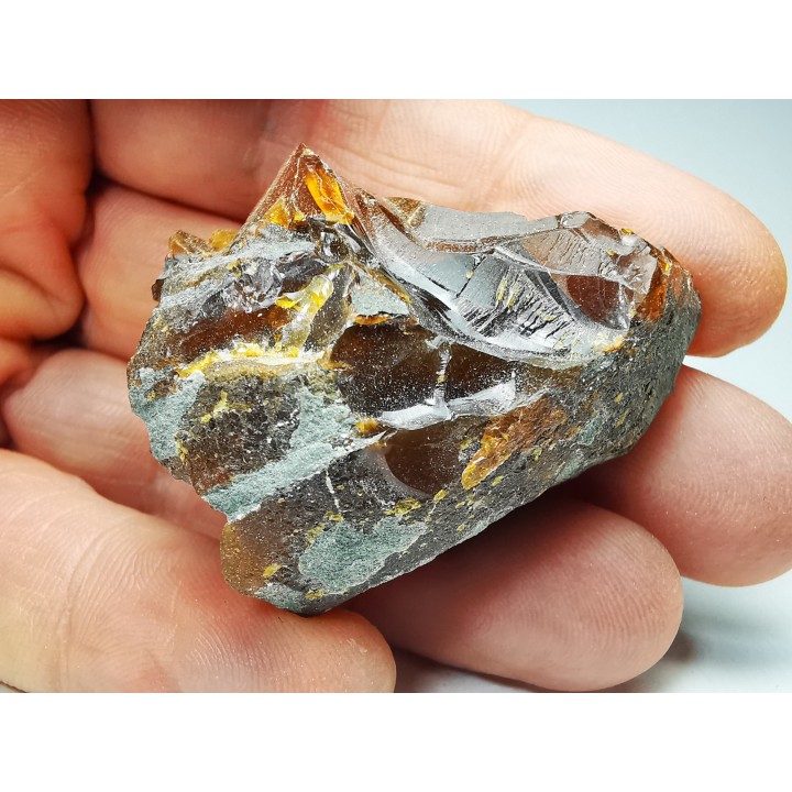 AMBER from Albian of Provence – FRANCE