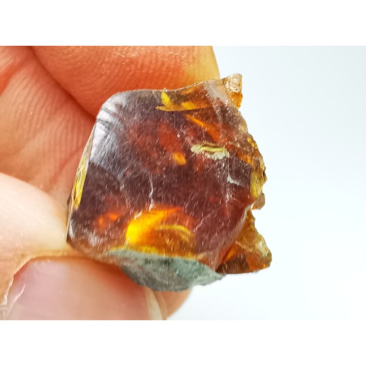 AMBRE de l'Albien de Provence - FRANCE