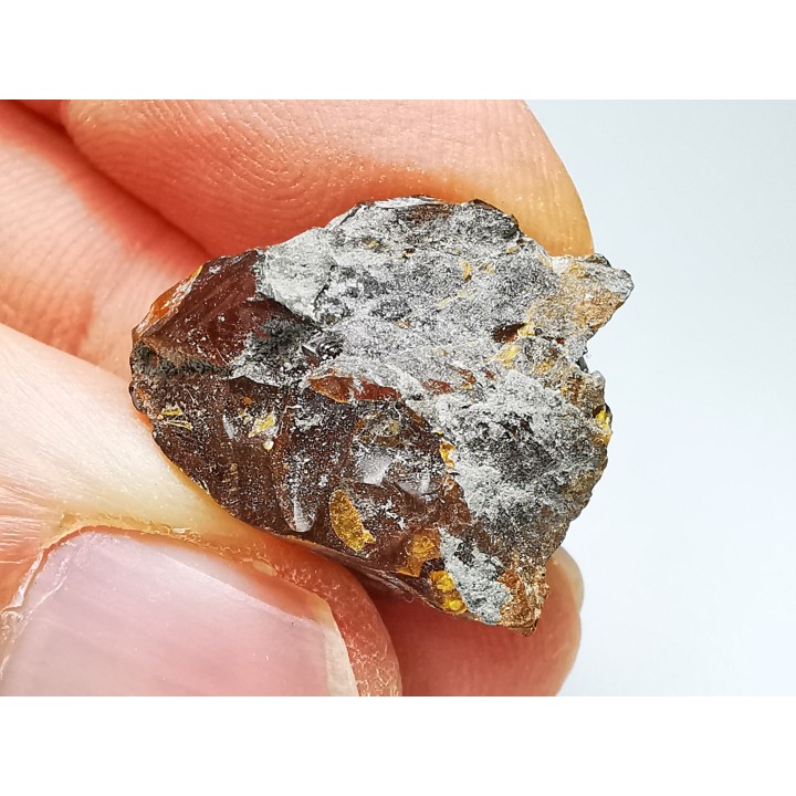 AMBER from Albian of Provence – FRANCE