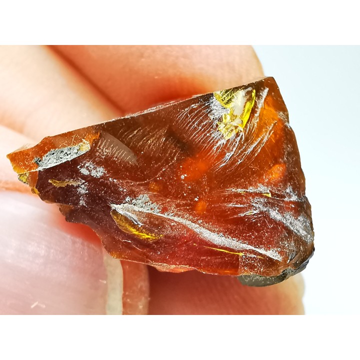 AMBER from Albian of Provence – FRANCE