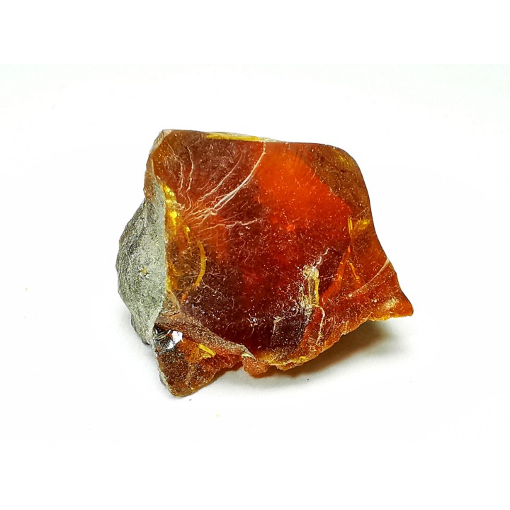 AMBER from Albian of Provence – FRANCE