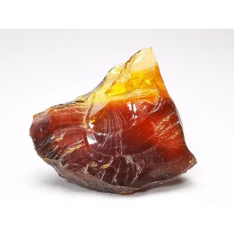 AMBER from Albian of Provence – FRANCE