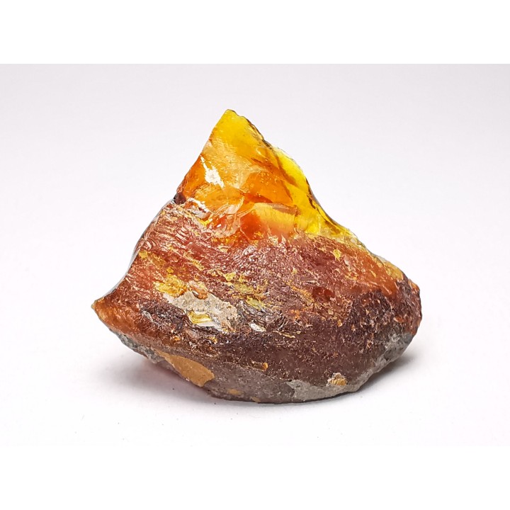 AMBER from Albian of Provence – FRANCE