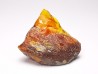 AMBER from Albian of Provence – FRANCE