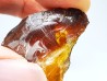 AMBER from Albian of Provence – FRANCE