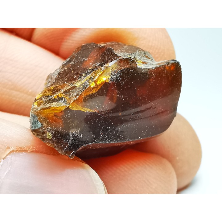 AMBRE de l'Albien de Provence - FRANCE