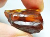 AMBER from Albian of Provence – FRANCE
