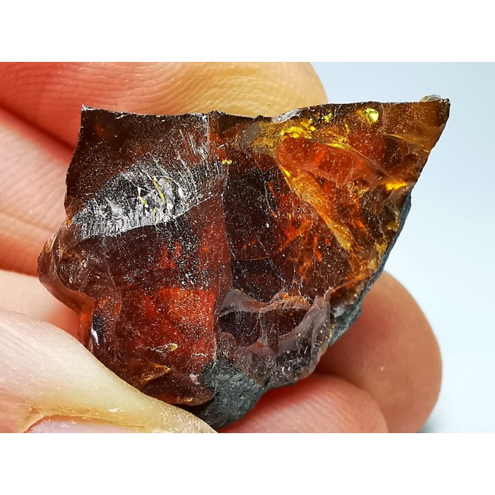 AMBRE de l'Albien de Provence - FRANCE