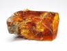 AMBER from Albian of Provence – FRANCE