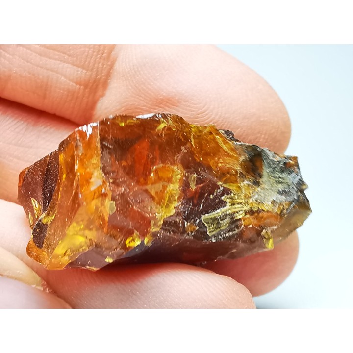 AMBER from Albian of Provence – FRANCE