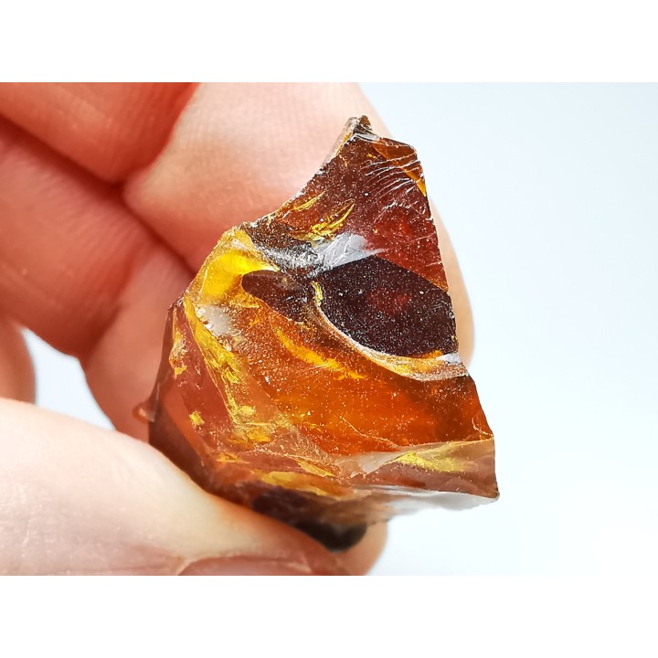 AMBER from Albian of Provence – FRANCE