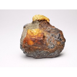 AMBER from Albian of Provence – FRANCE
