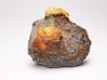AMBER from Albian of Provence – FRANCE