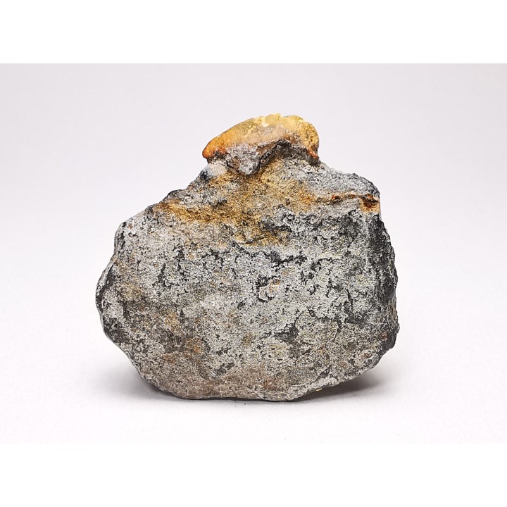 AMBRE de l'Albien de Provence - FRANCE