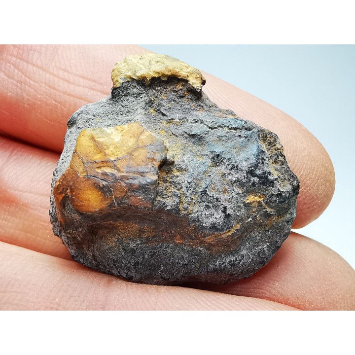 AMBER from Albian of Provence – FRANCE