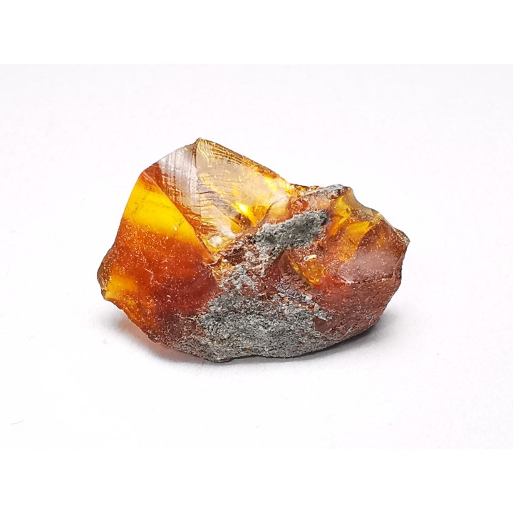 AMBER from Albian of Provence – FRANCE