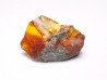 AMBER from Albian of Provence – FRANCE