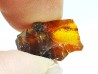 AMBER from Albian of Provence – FRANCE