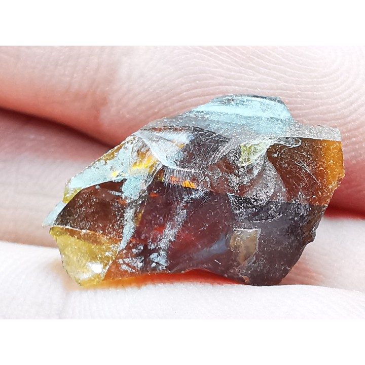 AMBER from Albian of Provence – FRANCE