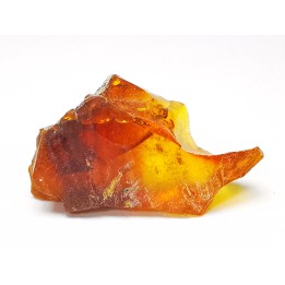 AMBER from Albian of Provence – FRANCE
