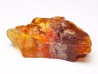 AMBER from Albian of Provence – FRANCE