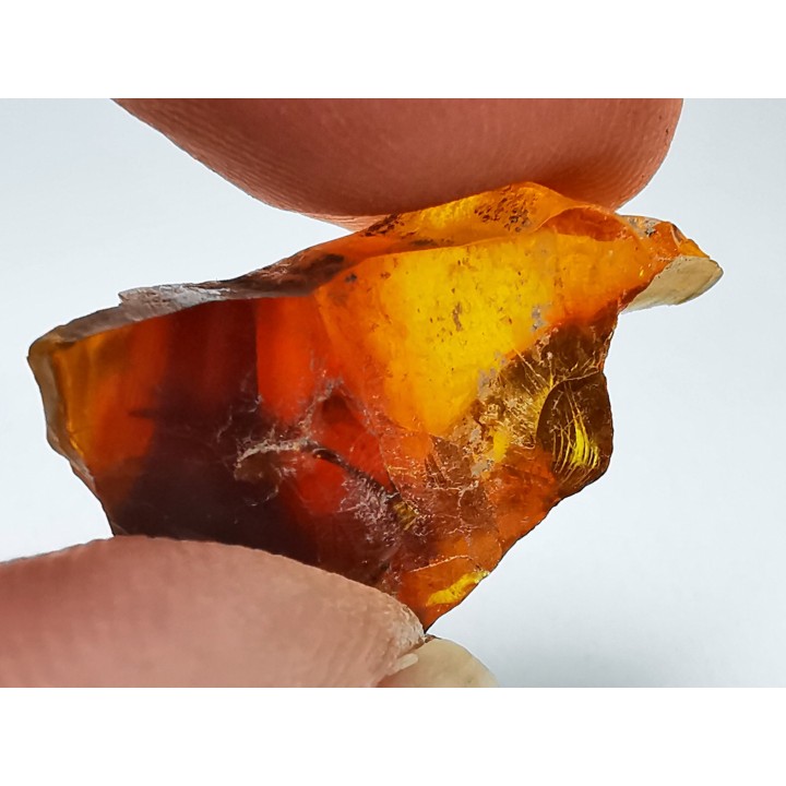 AMBRE de l'Albien de Provence - FRANCE