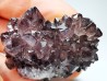 Quartz améthyste "Cactus" de Mbombela – Afrique du Sud