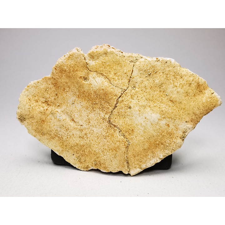 Crocodile Scute from Cretaceous of Khouribga - Morocco