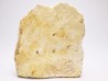 Crocodile Scute from Cretaceous of Khouribga - Morocco