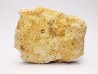Crocodile Scute from Cretaceous of Khouribga - Morocco