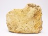 Crocodile Scute from Cretaceous of Khouribga - Morocco