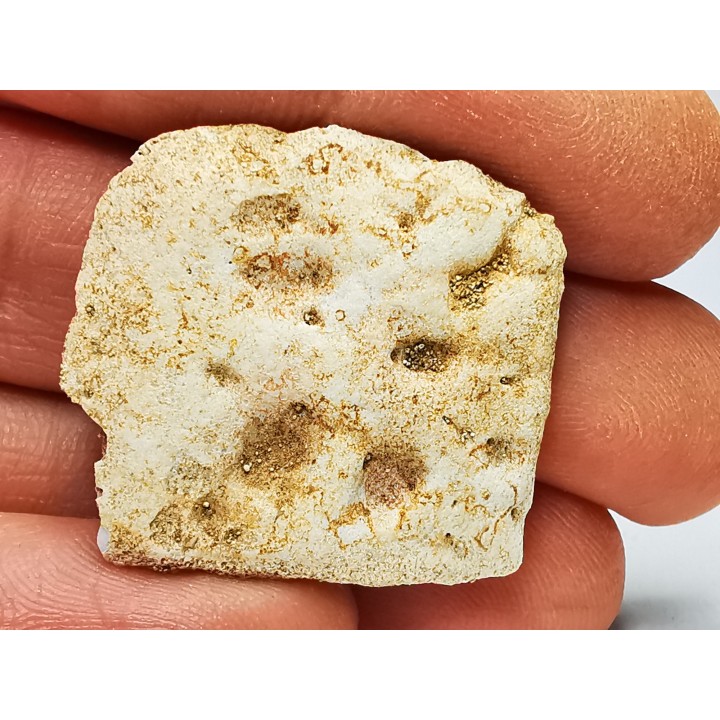 Scute de crocodile du Crétacé de Khouribga - Maroc