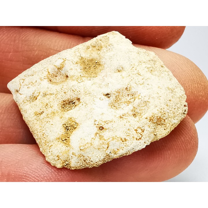 Crocodile Scute from Cretaceous of Khouribga - Morocco