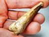 dent de dinosaure SPINOSAURUS AEGYPTIACUS
