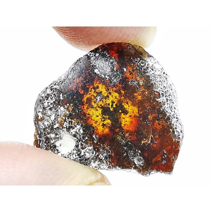 AMBER from Brazil