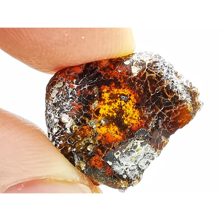 AMBRE du Brésil
