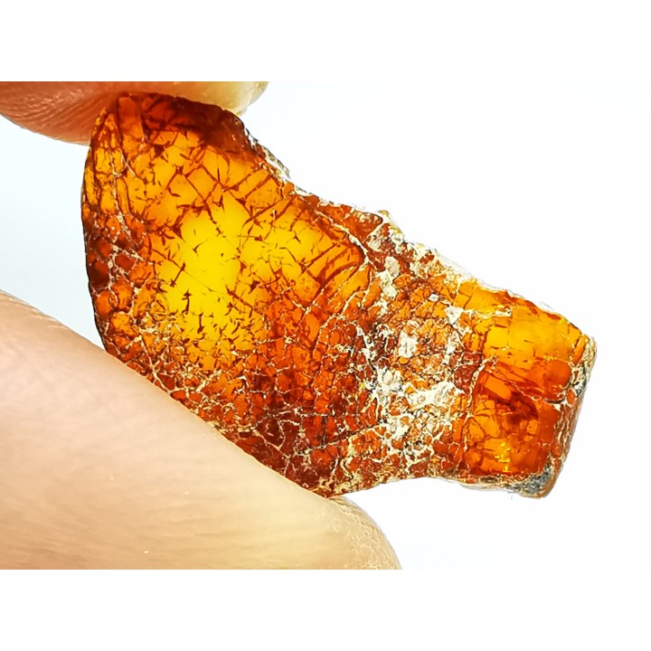 AMBRE du Brésil