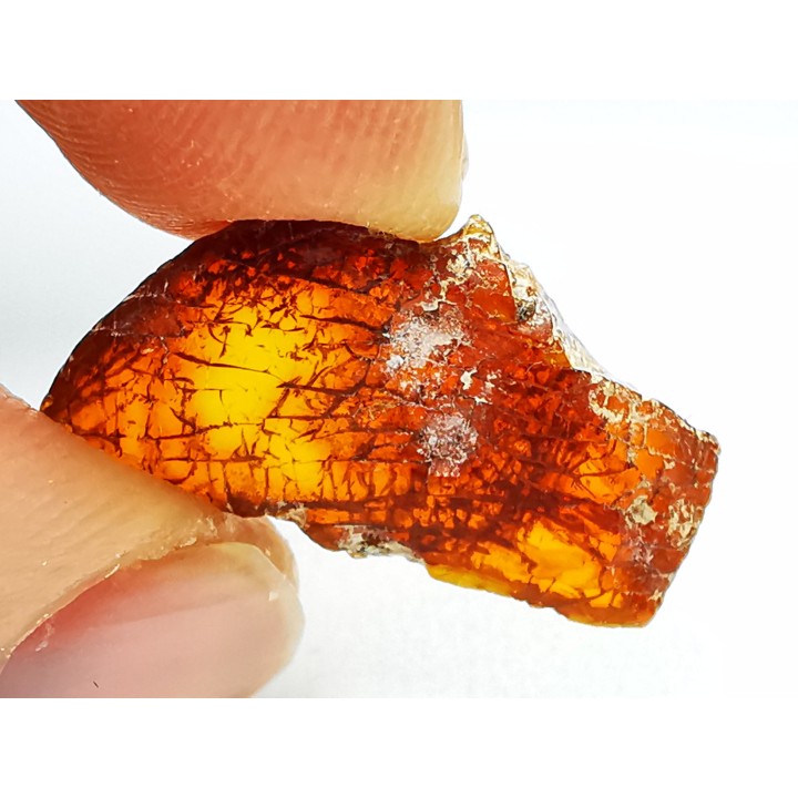 AMBRE du Brésil