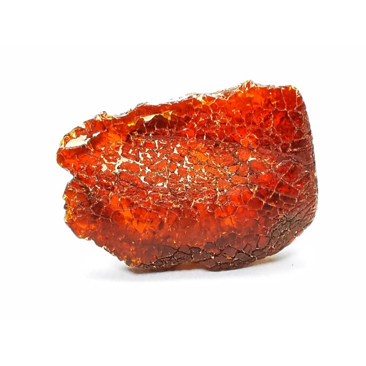 AMBER from Brazil