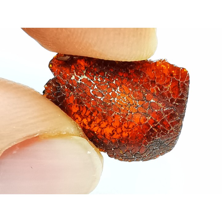 AMBER from Brazil