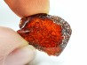AMBER from Brazil